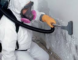 Best Commercial Mold Inspection  in USA